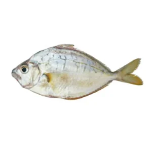 Cá liệt (cá ngãng)